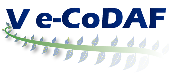 V e-CoDAF - Digital Skills for Family Farmers Meeting